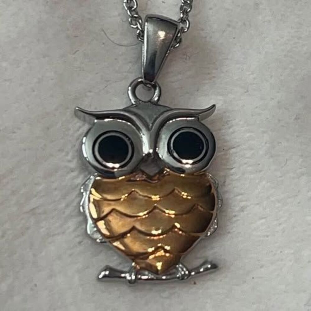 Hallmark Owl Pendant Necklace Silver and Copper Tone